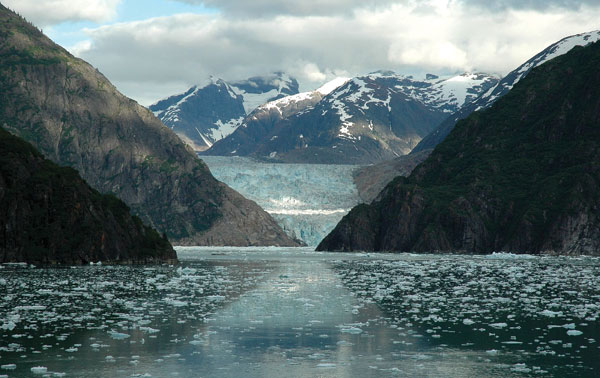 To book simply call 0800 009 6688