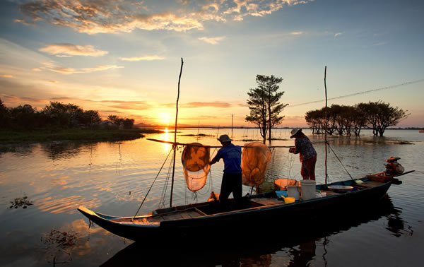 To book simply call 0800 009 6688