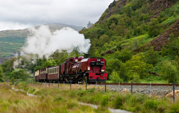 To book simply call 0800 009 6699